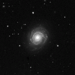 NGC 3147, POSS 2 blau, Digitized Sky Survey