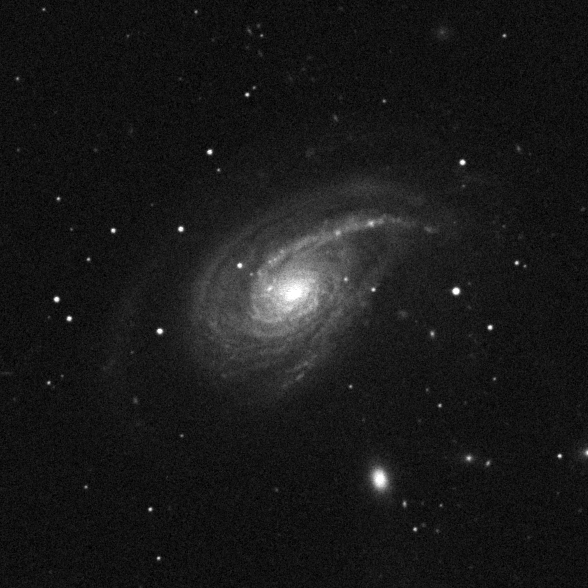 NGC 772, POSS 2 blau, Digitized Sky Survey